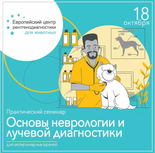 Основы неврологии и лучевой диагностики для врача общей практики