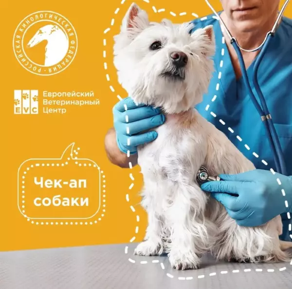 Чек-ап (Check-up) собаки