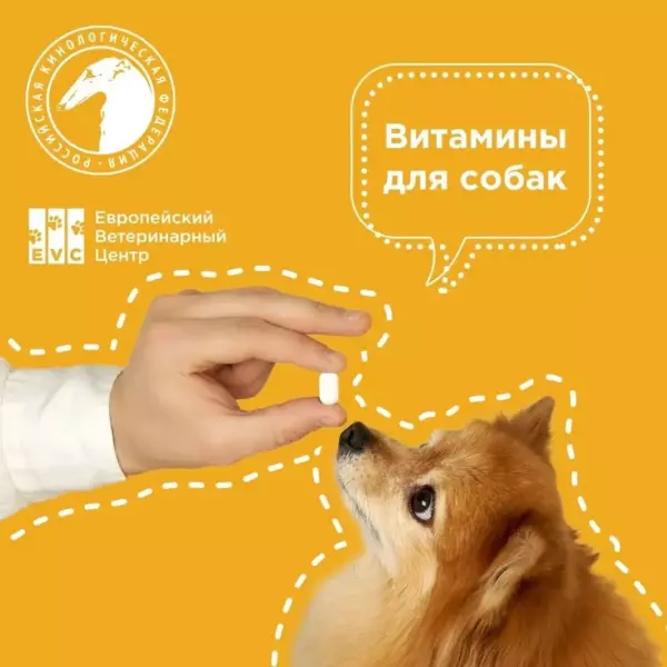 Витамины для собак
