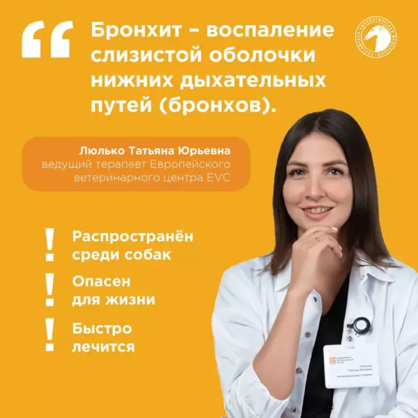 Что такое бронхит?