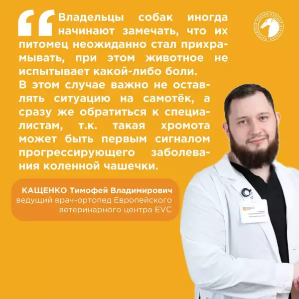 Что такое пателла у собак?