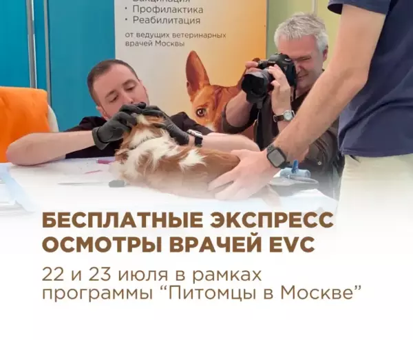 Бесплатные экспресс осмотры врачей центра EVC