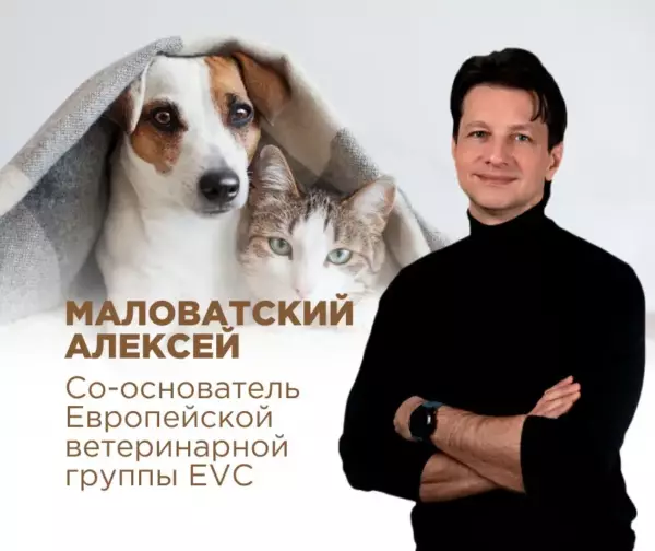 Итоги круглого стола по обеспечению собак и кошек лекарствами