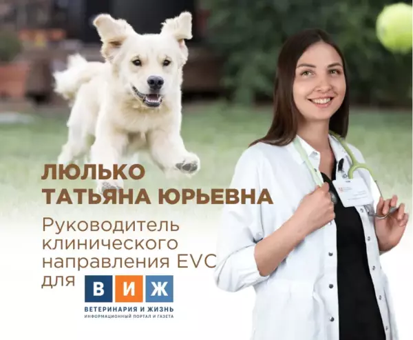 Опасности для кошек и собак на даче
