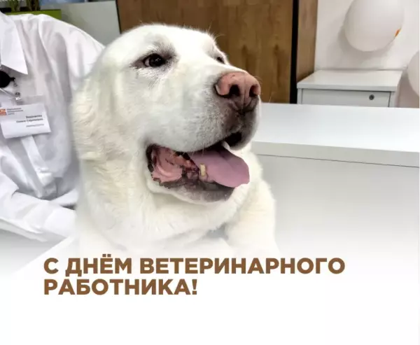 Поздравляем с Днем ветеринарного работника