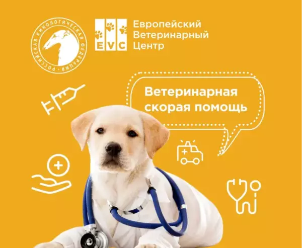 Скорая ветеринарная помощь