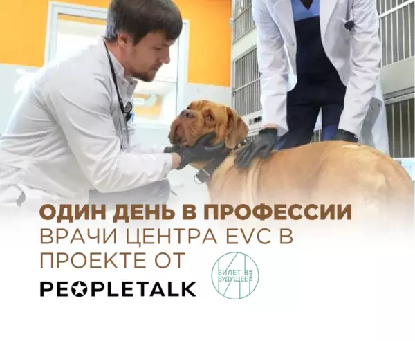 Один день в профессии ветеринарного врача