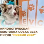 Центр EVC на выставке собак всех пород «Россия 2022»