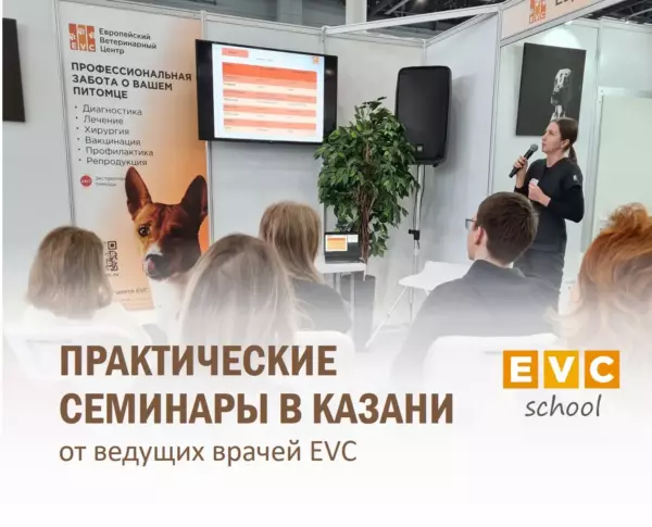 Практические семинары по основам неврологии и гастроэнтерологии