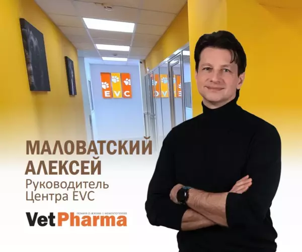 Расходы на содержание домашних животных в прошлом году выросли в среднем на 30–40%