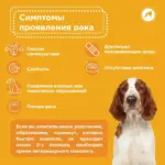 Онкология у собак