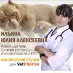 Редкие формы анатомических аномалий у собак