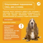 Частые проблемы с глазами у собак