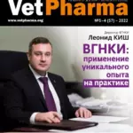 Редкие формы анатомических аномалий у собак