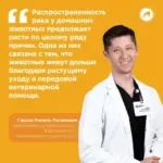 Онкология у собак