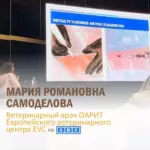 Доклад на Ветеринарном хирургическом конгрессе в Санкт-Петербурге