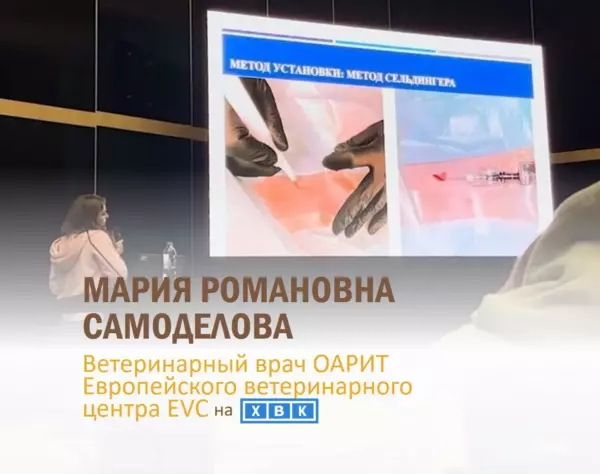 Доклад на Ветеринарном хирургическом конгрессе в Санкт-Петербурге
