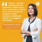 Что делать, если у собаки стресс?