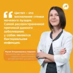 Бактериальный цистит у собак