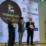 Международный день собаки-проводника