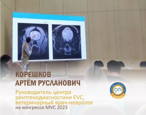 Цереброваскулярные заболевания, алгоритмы диагностики и лечения