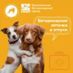 Ветеринарная аптечка в отпуск с собакой