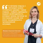 Ветеринарная аптечка в отпуск с собакой