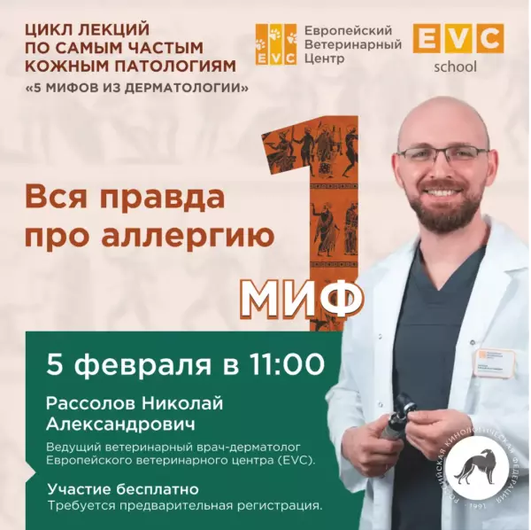 5 мифов из дерматологии: Вся правда про аллергию
