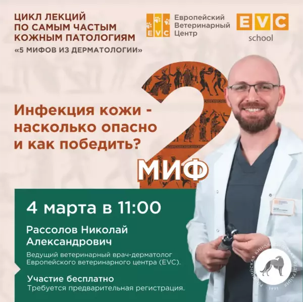 5 мифов из дерматологии. Инфекция кожи — насколько опасна и как победить?