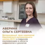 Нефрология и урология — повышение квалификации