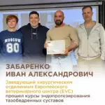 Протезирование тазобедренных суставов у карликовых пород собак и кошек