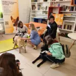 Международный день собаки-проводника