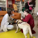 Международный день собаки-проводника