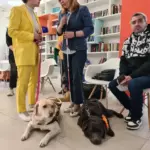 Международный день собаки-проводника