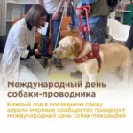 Международный день собаки-проводника