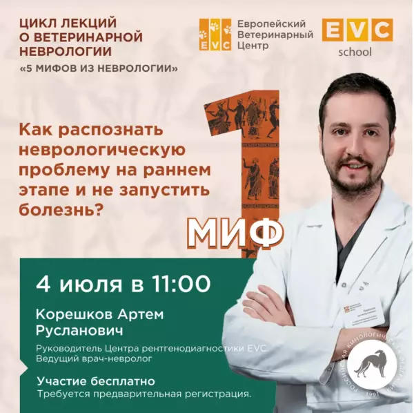 5 мифов из неврологии. Как распознать неврологическую проблему на раннем этапе и не запустить болезнь?