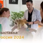 Центр EVC на выставке собак всех пород «Россия 2024»