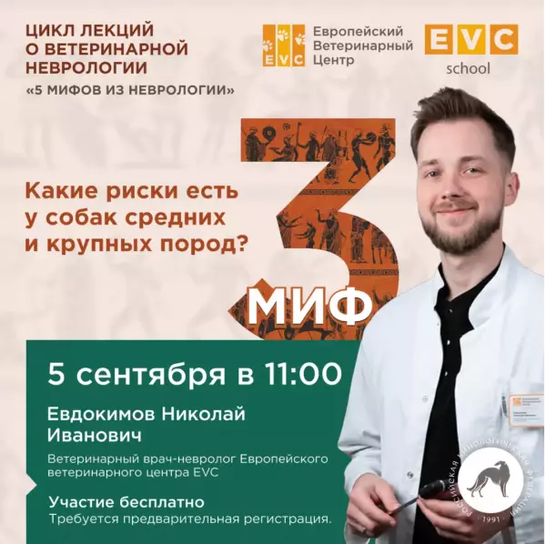 5 мифов из неврологии. Какие риски есть у собак средних и крупных пород?