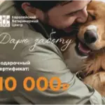 Подарочные сертификаты