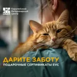 Подарочные сертификаты