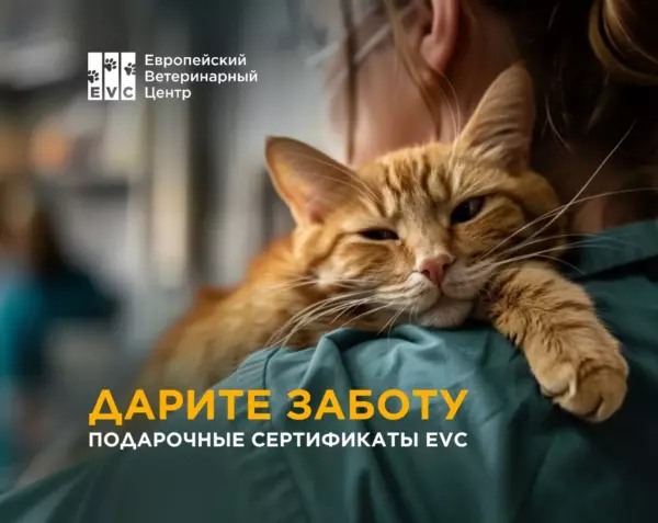 Подарочные сертификаты