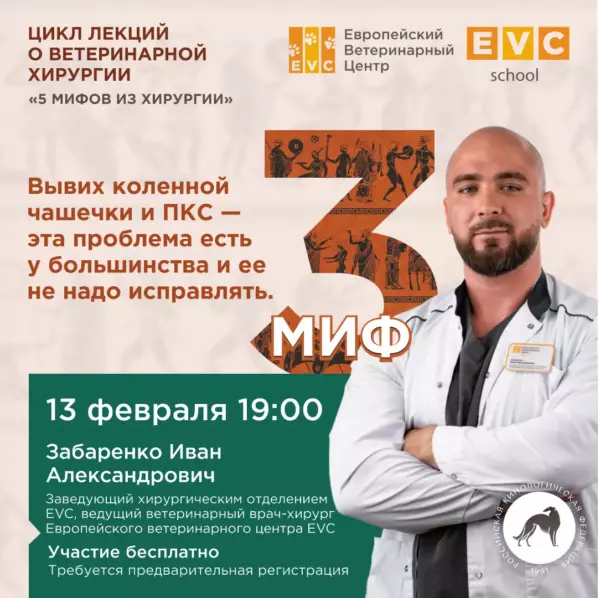 5 мифов из хирургии. Миф 3: «Вывих коленной чашечки и ПКС — эта проблема есть у большинства и ее не надо исправлять»