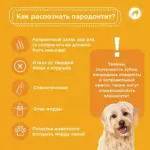 Все, что важно знать о парадонтите