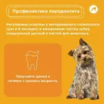 Все, что важно знать о парадонтите