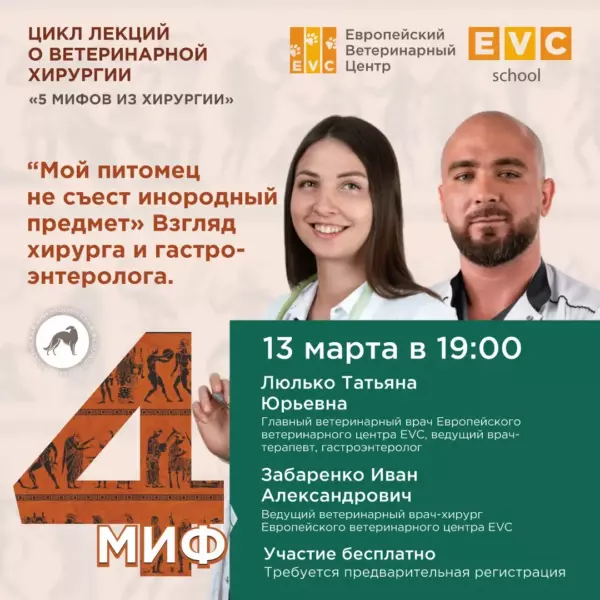 5 мифов из хирургии. Миф 4: «Мой питомец не съест инородный предмет»