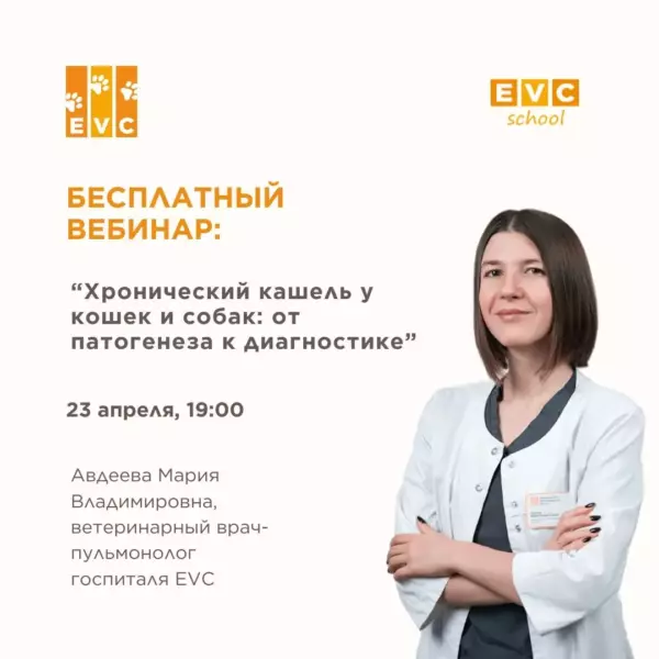Хронический кашель у кошек и собак: от патогенеза к диагностике