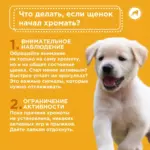 Почему щенки могут хромать?