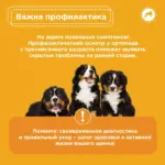 Почему щенки могут хромать?