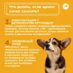 Почему щенки могут хромать?