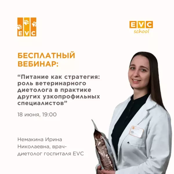 Питание как стратегия: роль ветеринарного диетолога в практике других  узкопрофильных специалистов